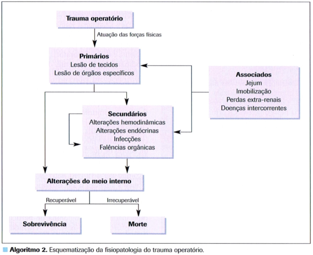 Imagem de uma Esquematização da fisiopatologia do trauma operatório
