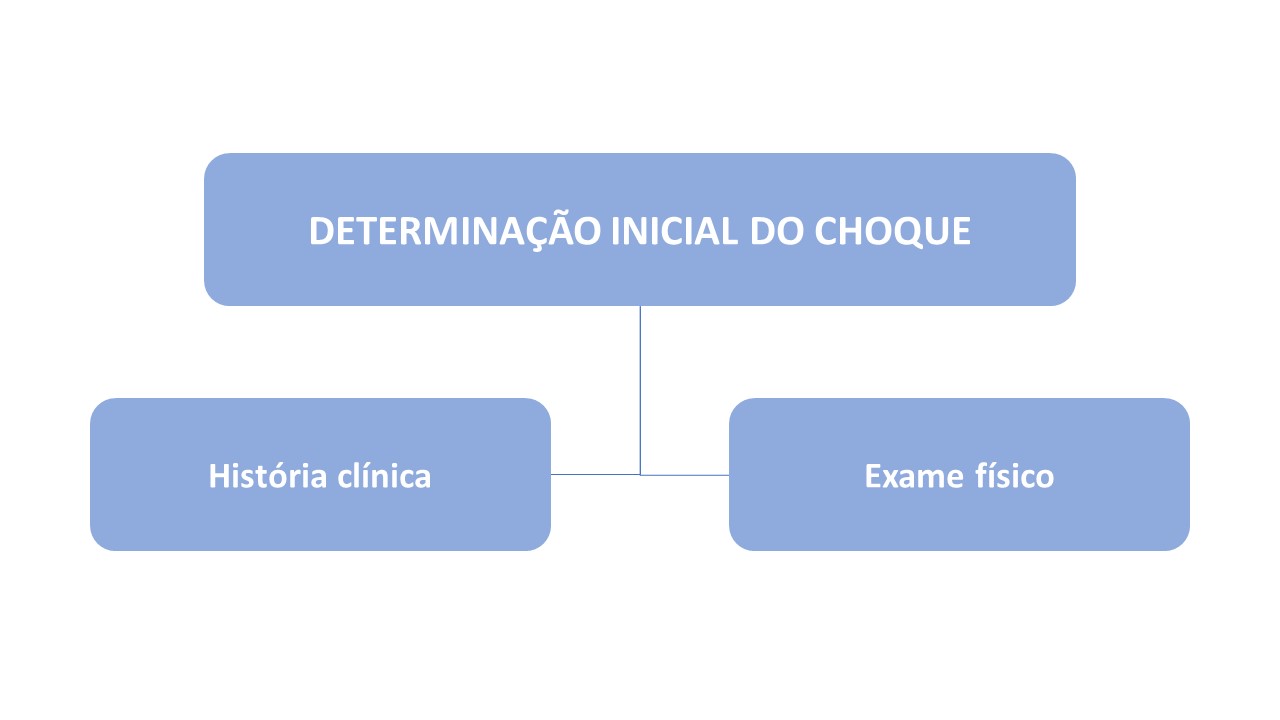 Choque hipovolêmico o que é, quadro clínico e tratamento Sanar Medicina Choque hipovolêmico o que é, quadro clínico e tratamento Sanar Medicina