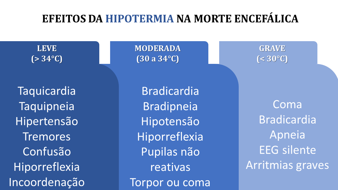 Protocolo Morte Encefálica Amib Pdf RETOEDU(02)