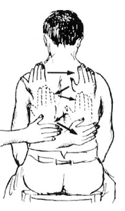 Figura 5 – Palpação do frêmito toracovocal na parede posterior do tórax. Fonte: BEVILACQUA et al. (2003)